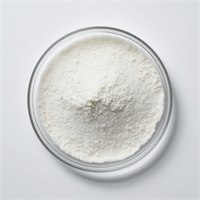Magnesium powder in a glass dish