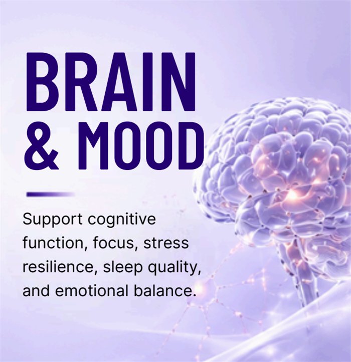 Brain & Mood — Support cognitive function, focus, stress resilience, sleep quality, and emotional balance.