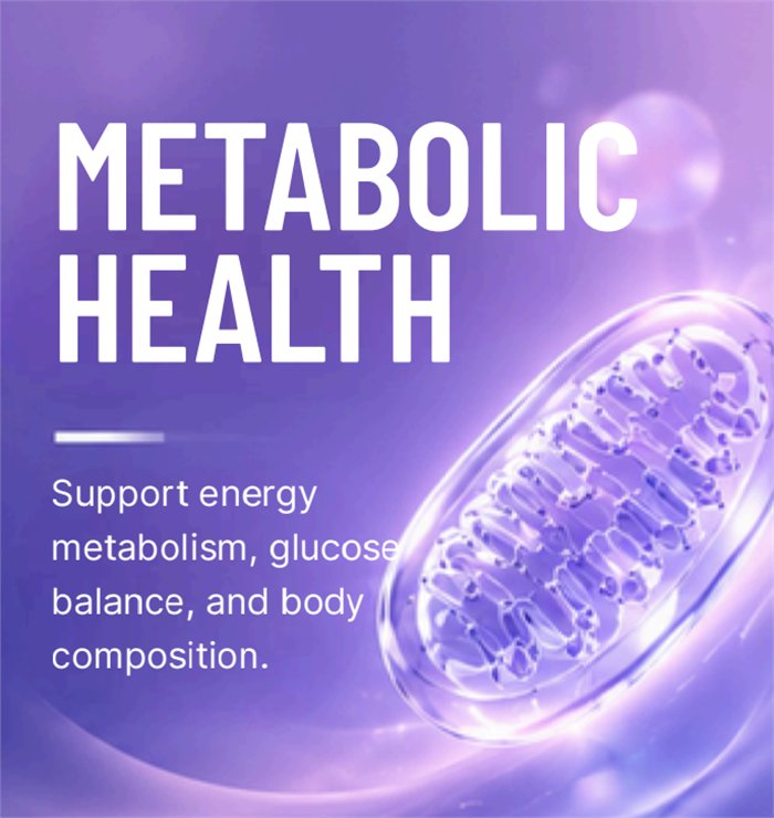 Metabolic Health — Support energy metabolism, glucose balance, and body composition.
